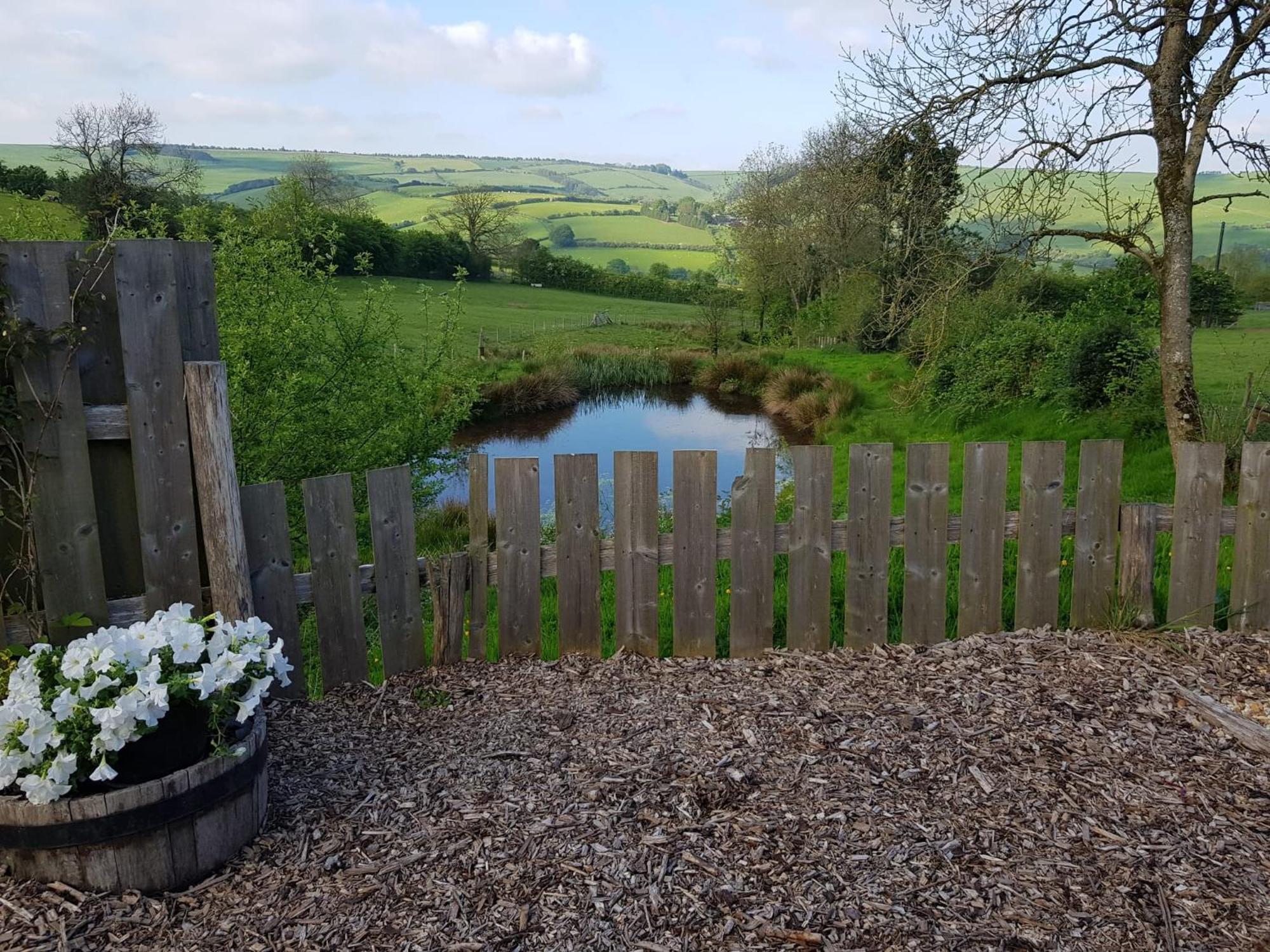 Eco Accommodation Cornflower Holiday Craven Arms Extérieur photo